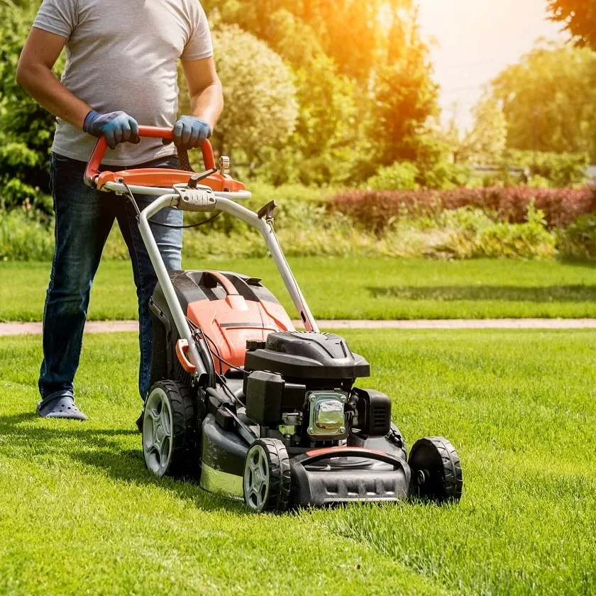 Lawn Service and Maintenance
